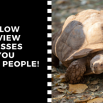 Why slow interview processes cost you great people!